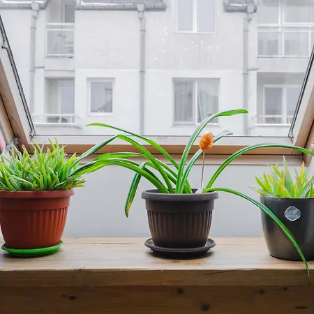 Charming & Cozy 2bd With Natural Light By Flat Mаnager * Sofia